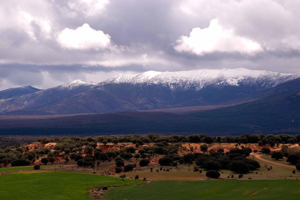 La Cochera De Don Paco Country house